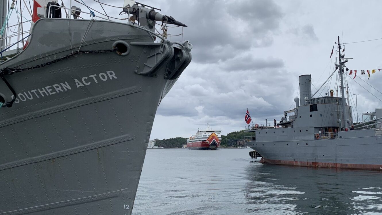 Fjordhest på Fjordfest i Sandefjord