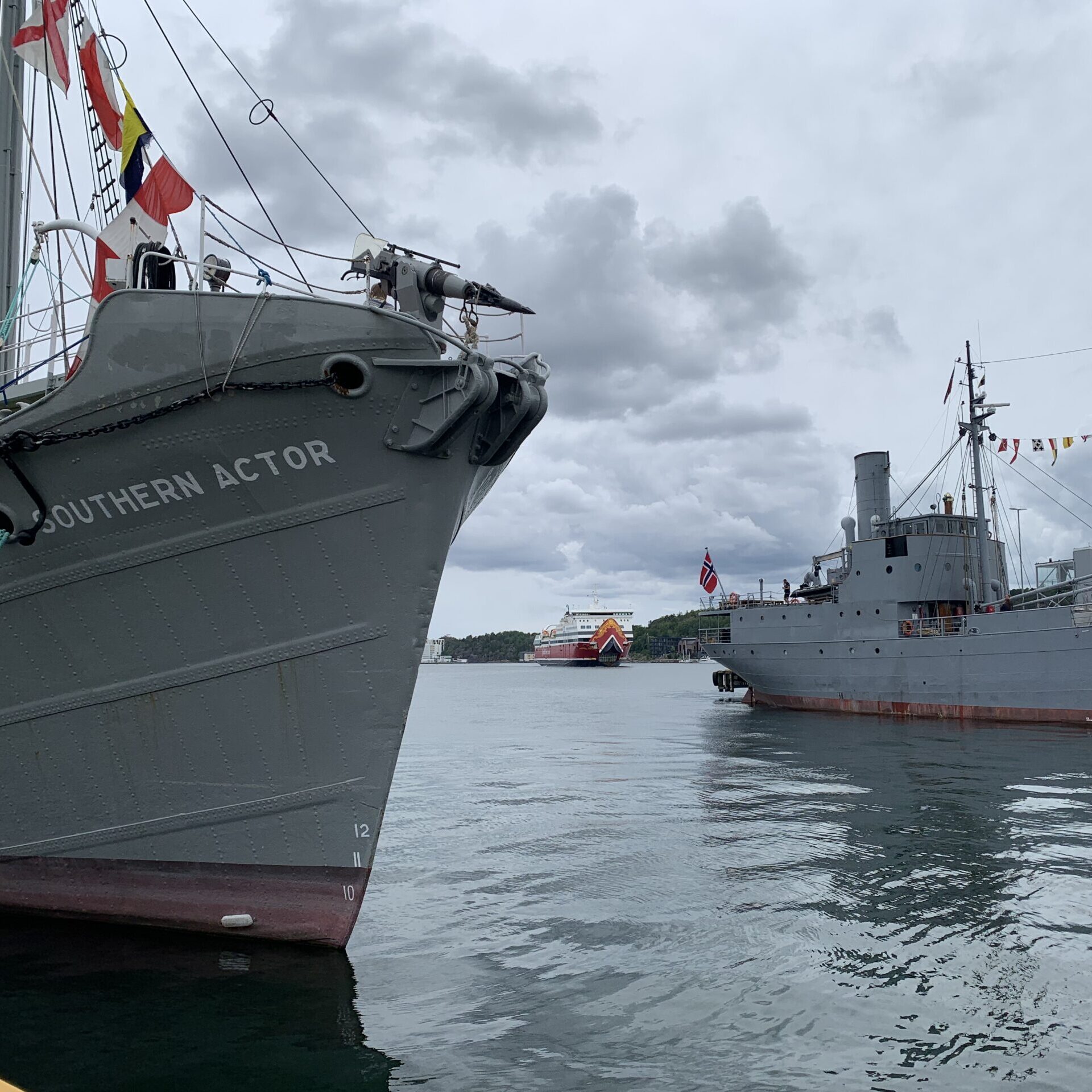 Fjordhest på Fjordfest i Sandefjord